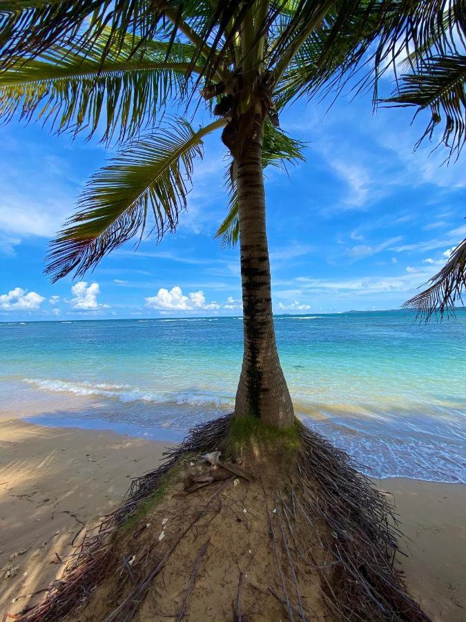 Cozy Beach Apartment Luquillo Exterior foto
